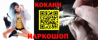 a pvp Гатчина