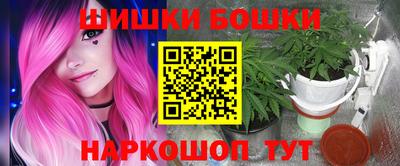 a pvp Гатчина