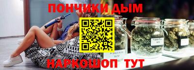 шишки Гагарин