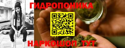 шишки Гагарин