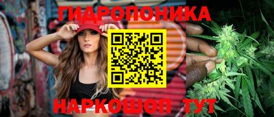 шишки Гагарин