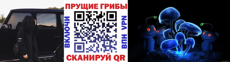Псилоцибиновые грибы мицелий  наркота  Сафоново 