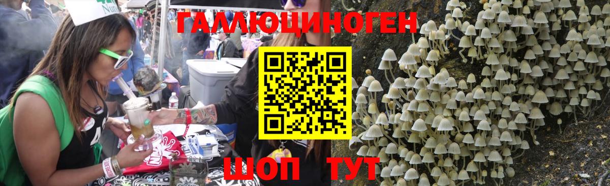 Галлюциногенные грибы Psilocybe Сафоново
