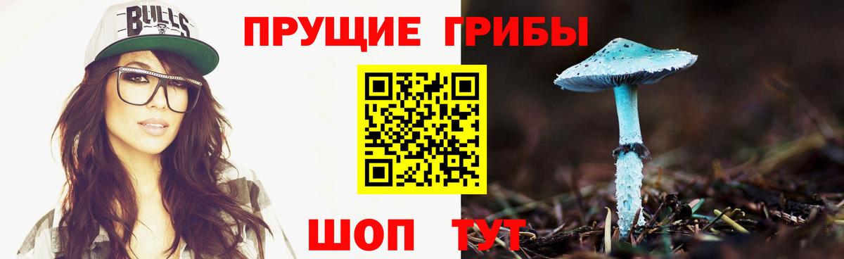 Сафоново  Галлюциногенные грибы Magic Shrooms  Вход с VPN 